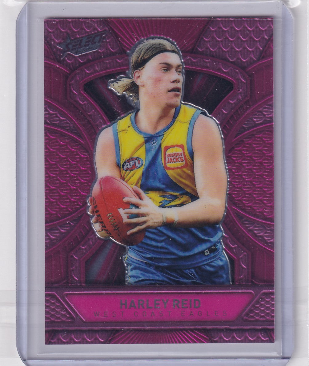 Harley Reid - Dragonscale Pink