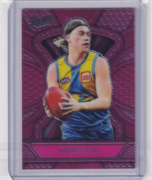 Harley Reid - Dragonscale Pink